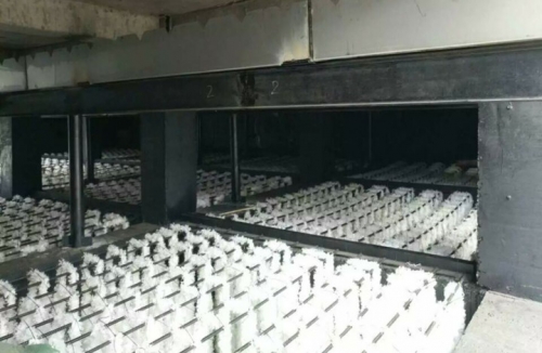 内蒙西來峰污水處理廠生物填料改造項目