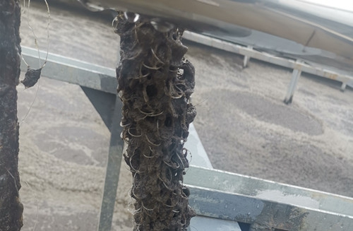 您知道爲什麽有些脫氮填料挂膜效果不好嗎？