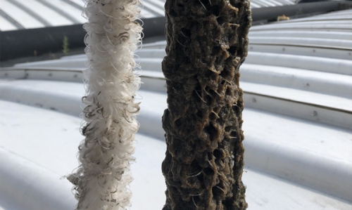 生物填料上的生物膜是怎麽形成的呢？